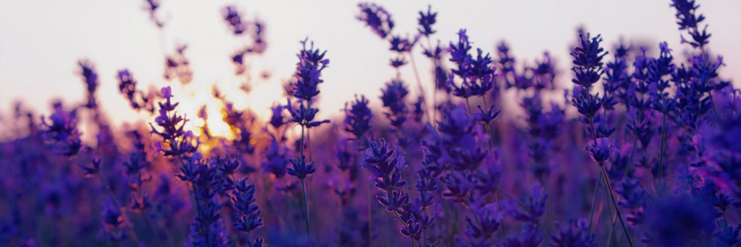 hmyrfnd's profile banner image