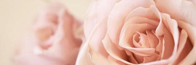 prettyoutragous's profile banner image