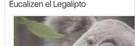 psycodelics's profile banner image