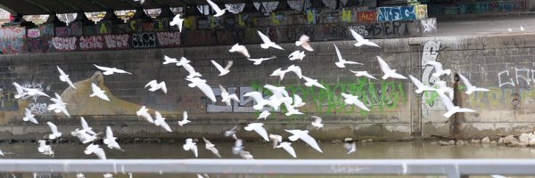 DoroBohle Profile Banner