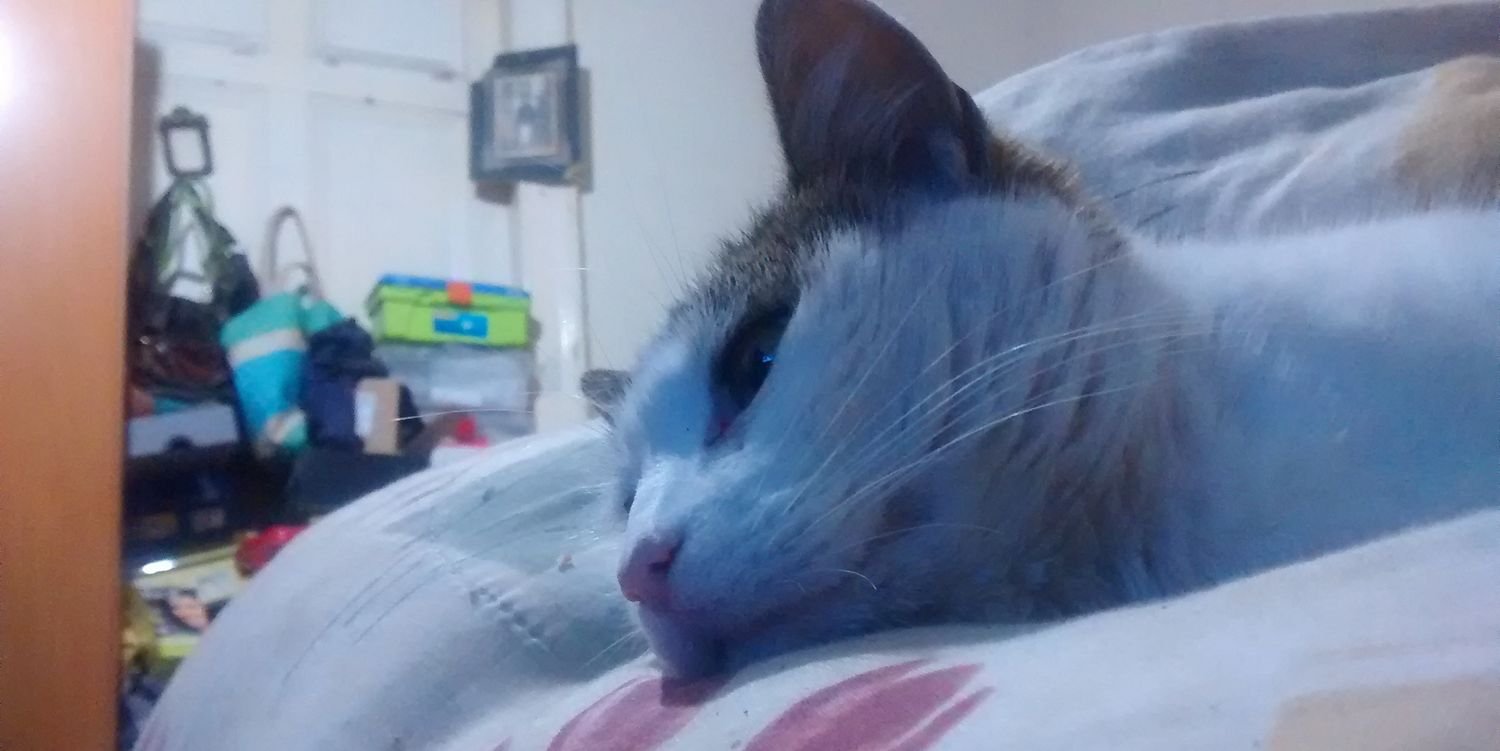 a_bonaga's profile banner image