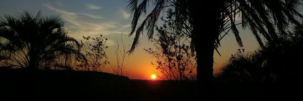 rapax00 Profile Banner