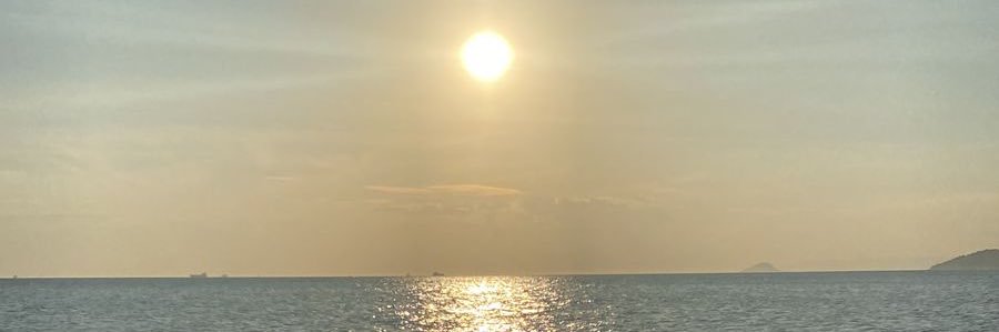 Pedro Lopes 🎒 banner