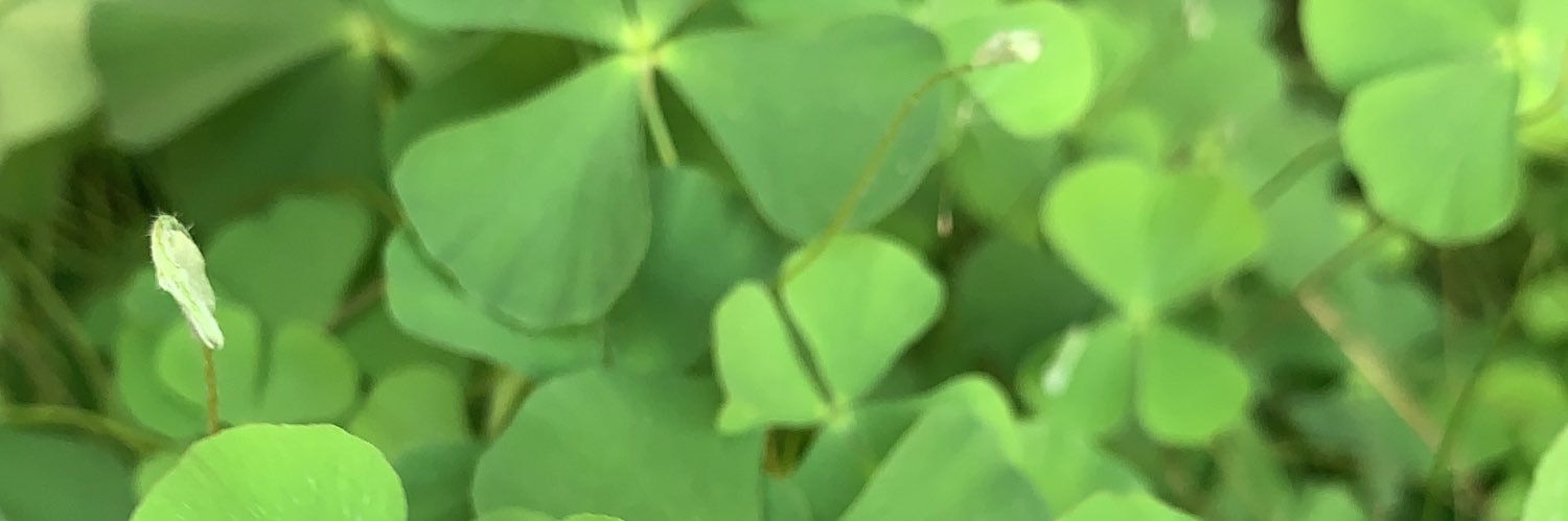 Grace_v25's profile banner image