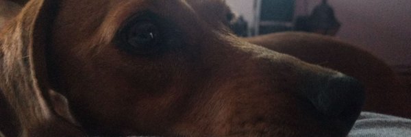 mariantabo89 Profile Banner