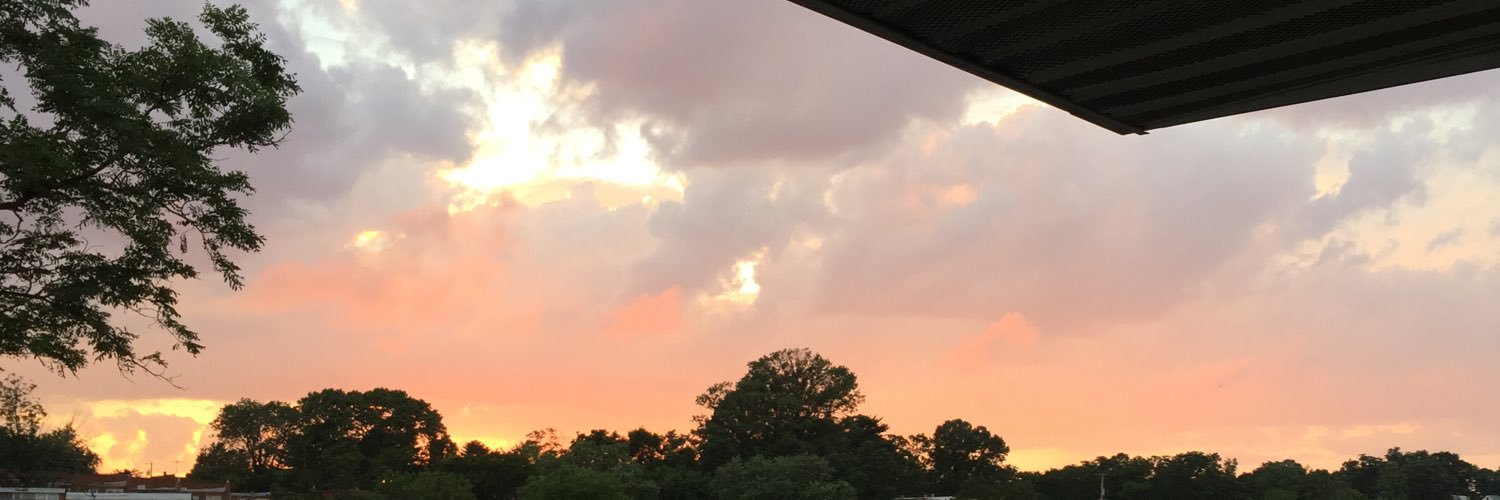 roxannesvs's profile banner image