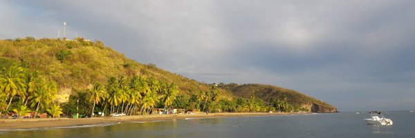 e_punctatus Profile Banner