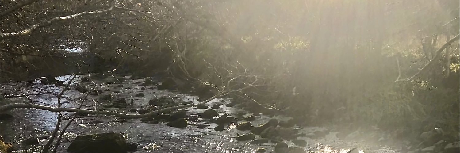 RevMartinNaylor's profile banner image