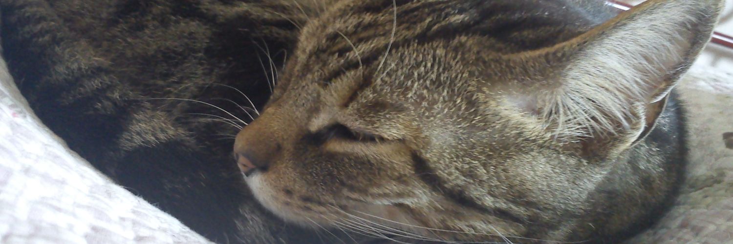 Fas_04's profile banner image