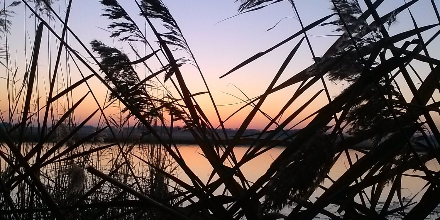 LeviCarrol's profile banner image