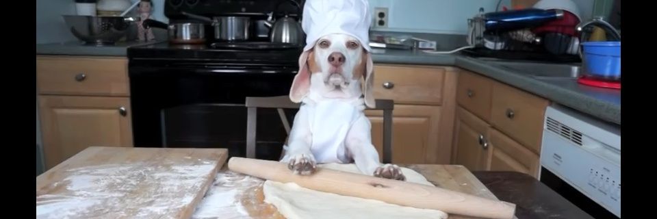 Gordo Mimoso banner