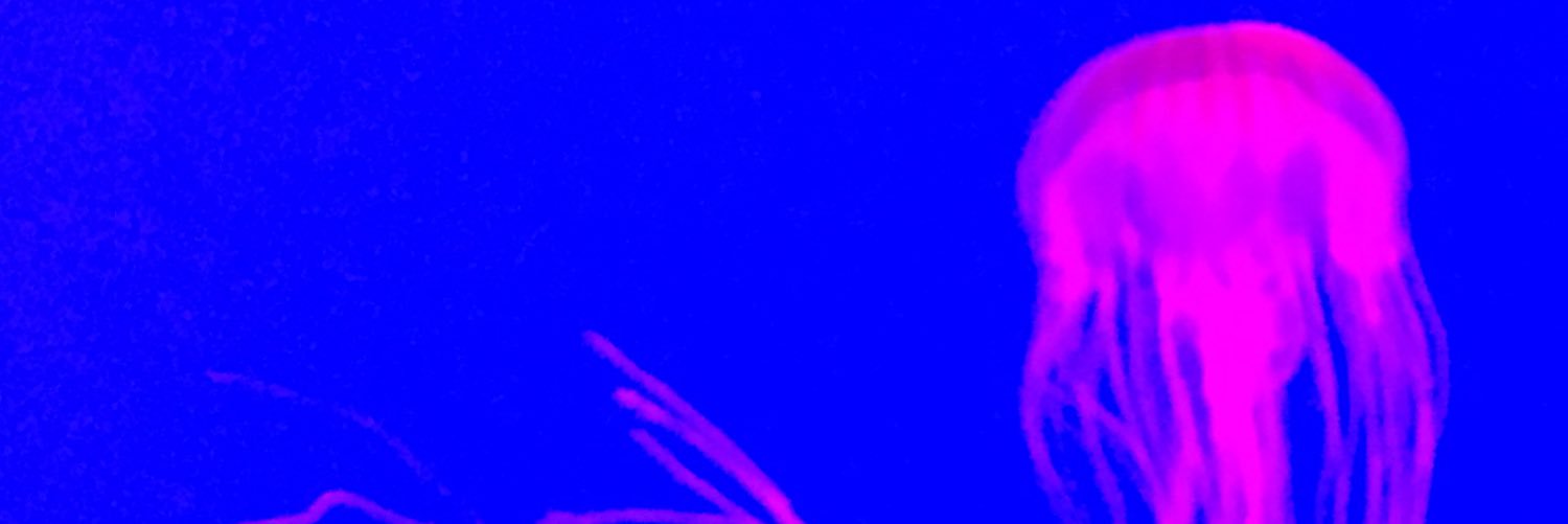 darcie_dasilva's profile banner image
