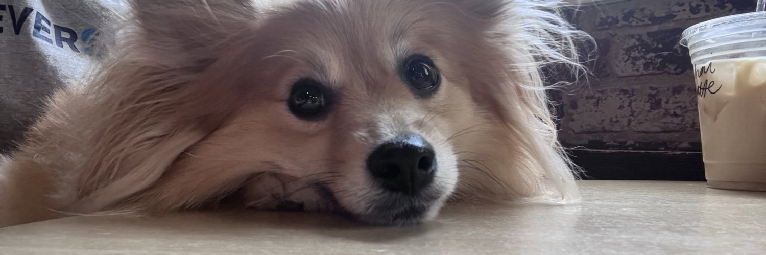 Blakey_Boo_14's profile banner image