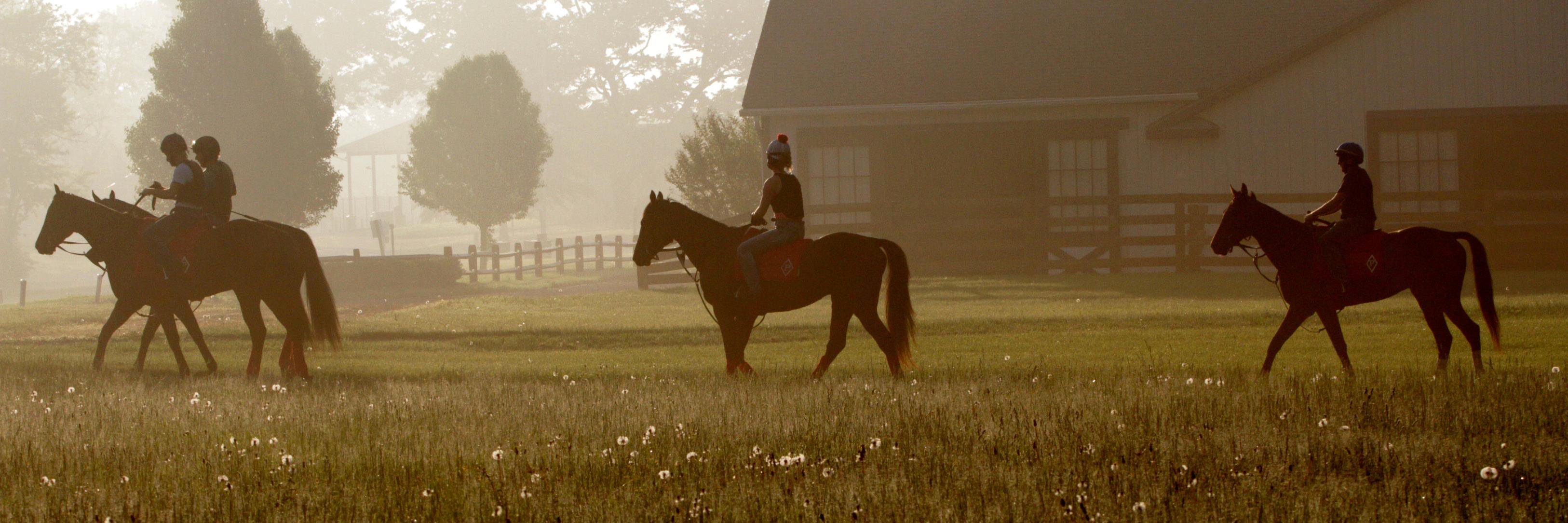 Tom Proctor Racing banner