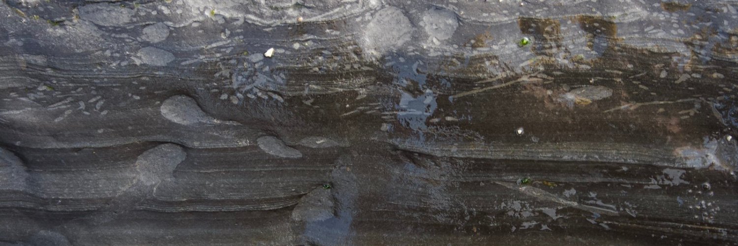 Dr Liam Herringshaw banner