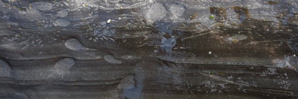 fossiliam Profile Banner
