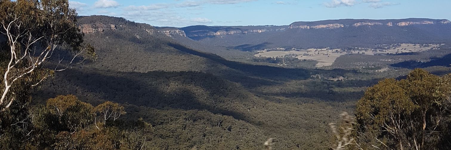 Simon Colwell banner