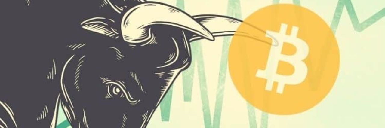 Crypto Pièrre banner