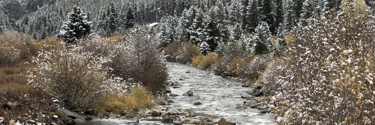 Stephanie Schwab banner