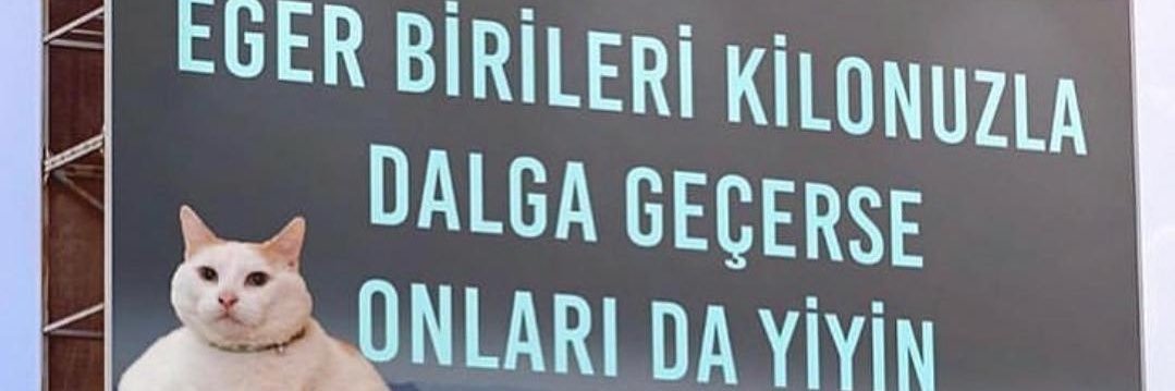 Deniz Fenerbahçe 🇳🇱 🇹🇷 banner