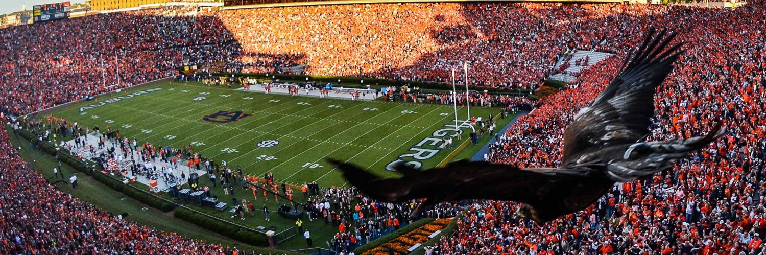 Manda in Auburn banner