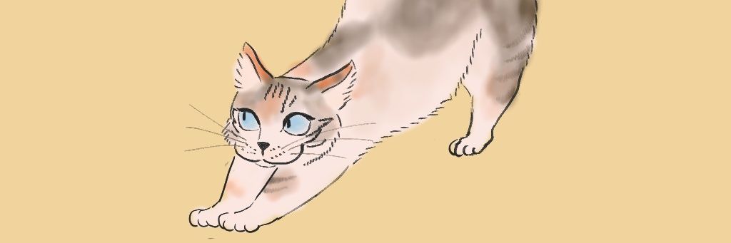 hinoe_on's profile banner image