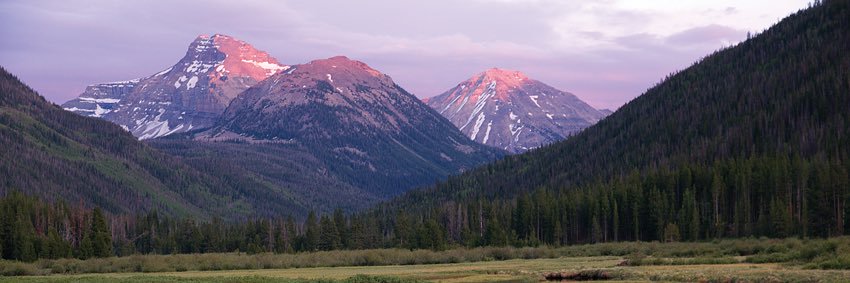 along494's profile banner image