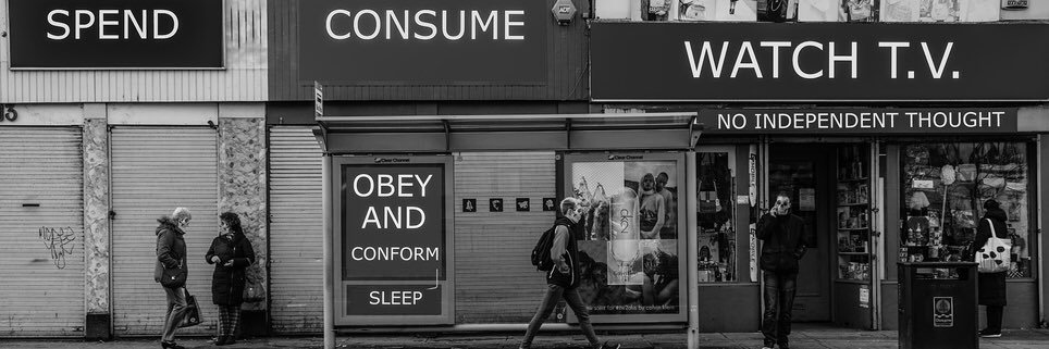 they live banner