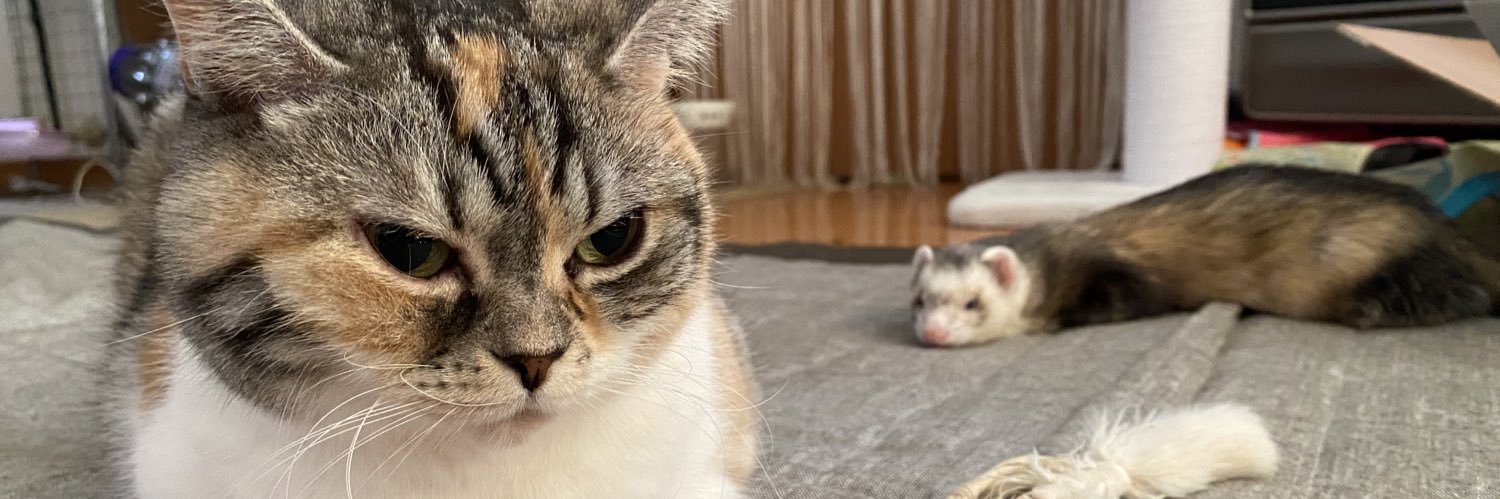 圧【あつ】 banner