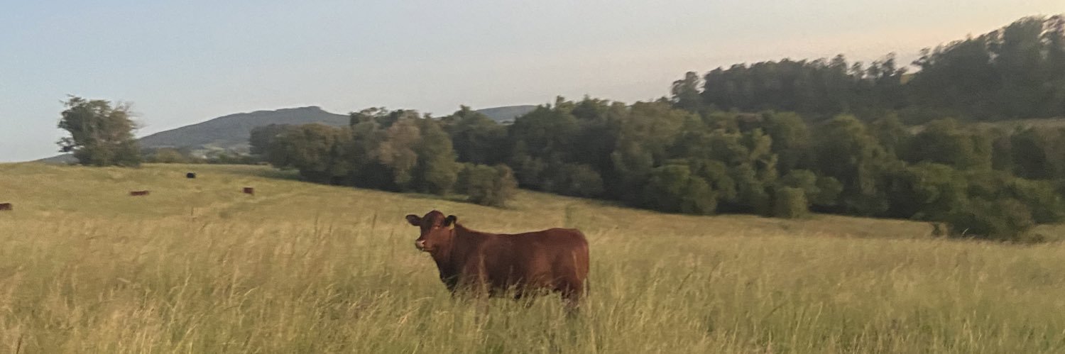 lekaaudibert's profile banner image
