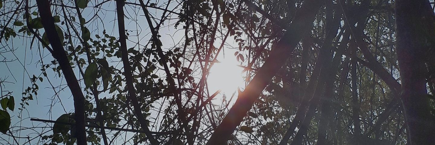 madyamyd's profile banner image
