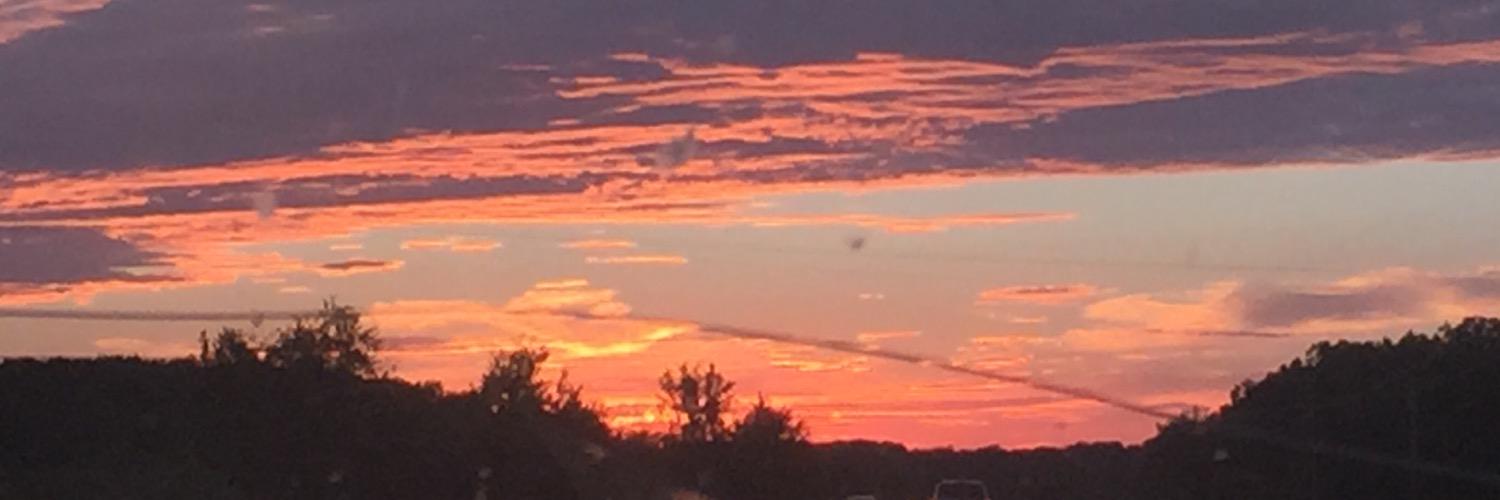 BrookeSelvey's profile banner image