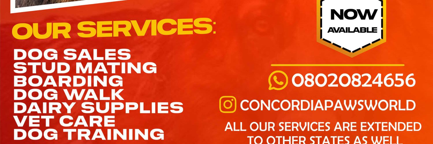 ConcordeeAdex's profile banner image