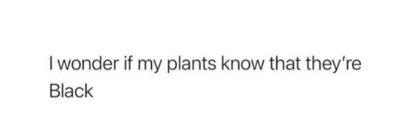 helenapipe Profile Banner