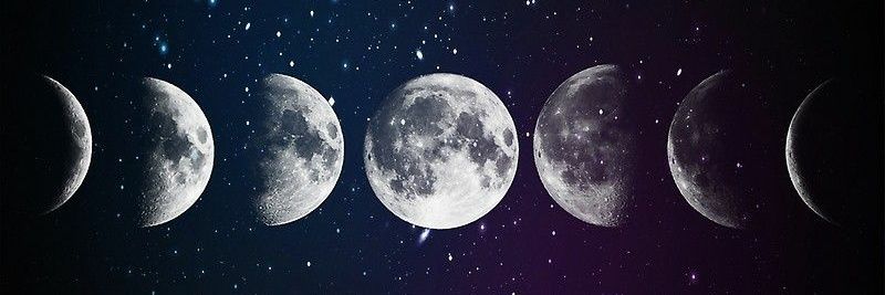 Josh X's banner