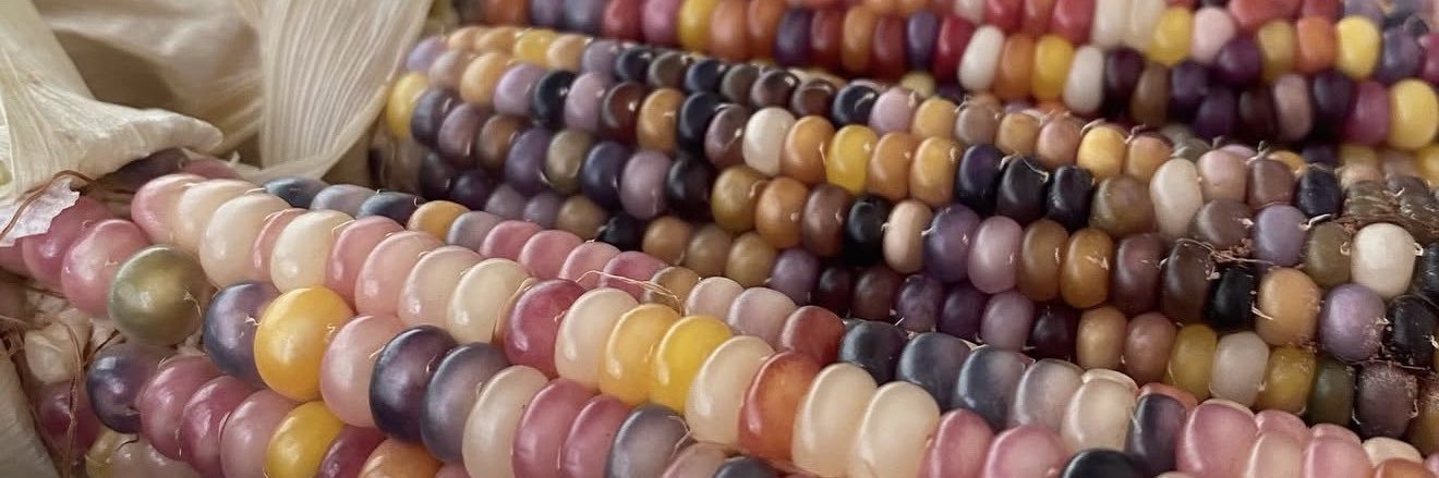MyOnlyFarms's profile banner image