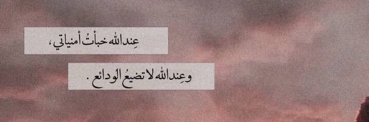 0sammar0's profile banner image
