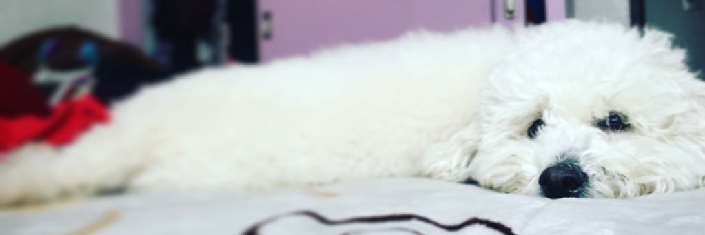 kay_gv's profile banner image