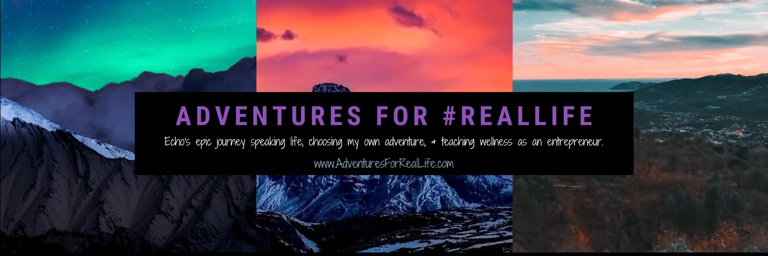 Echo Schneider banner