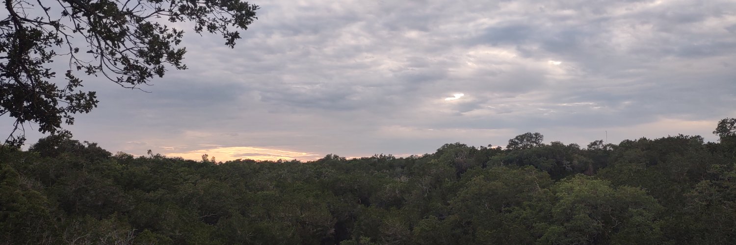 BLJ in Kingwood banner