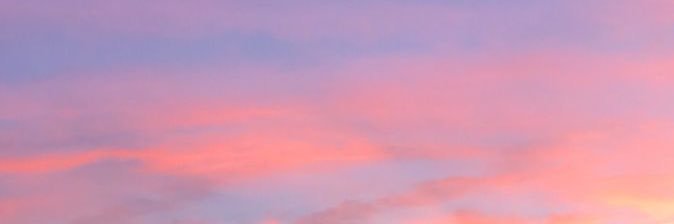 ari banner