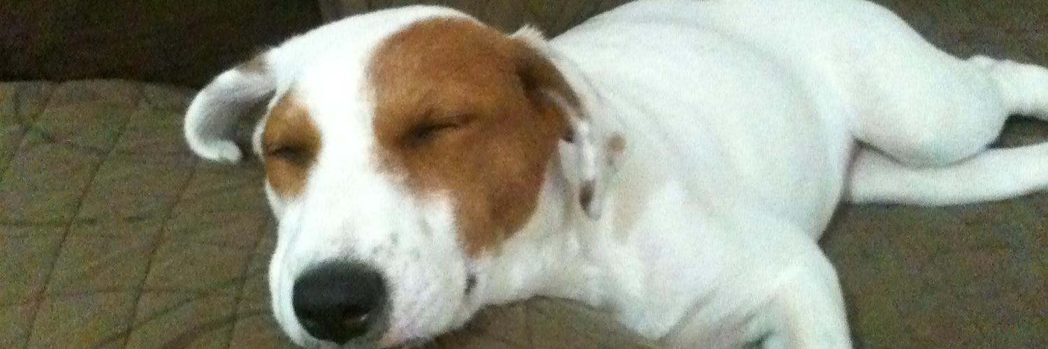 Coach Susú Guarneros banner