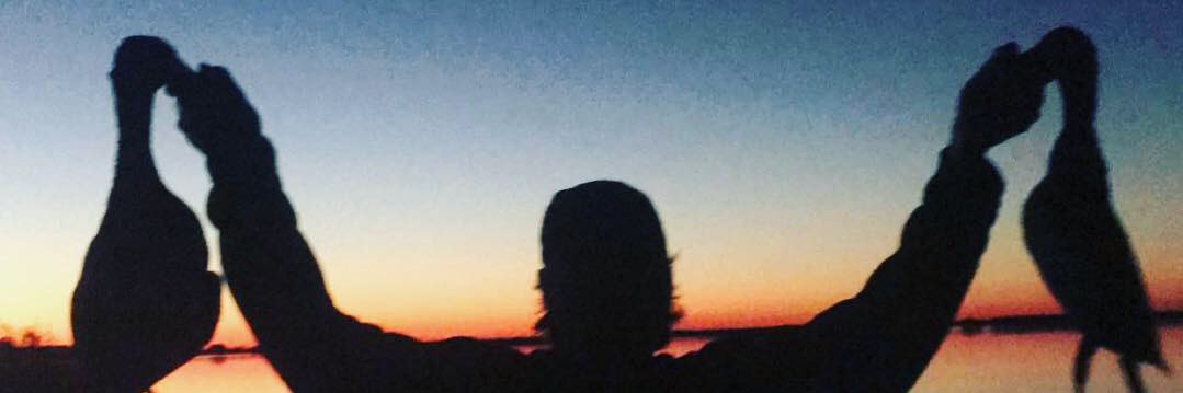 _mdh22's profile banner image