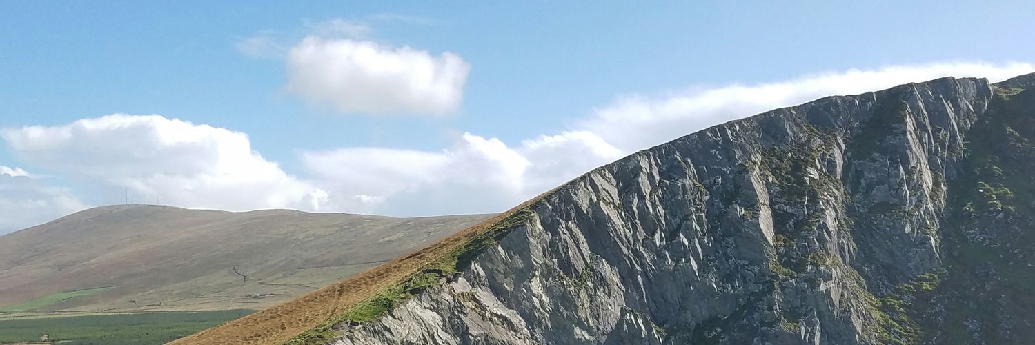 Dan Cox banner