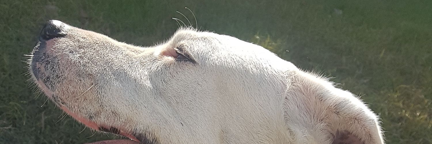 _LudMartinez's profile banner image