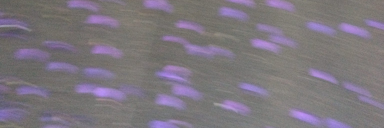 charlesetc's profile banner image