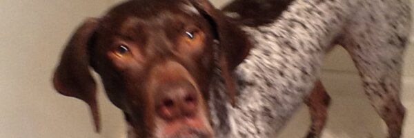 oldmanruns Profile Banner