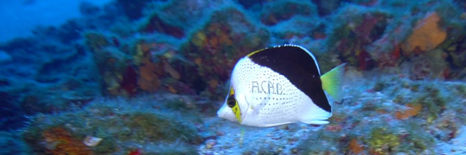 dr. mykle hoban banner