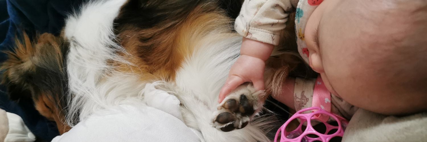 のん（アオ🐶） banner