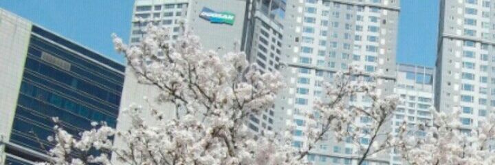 AziyatiZulkifl1's profile banner image